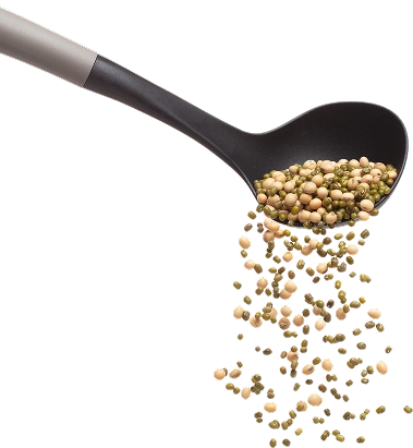 Spoon